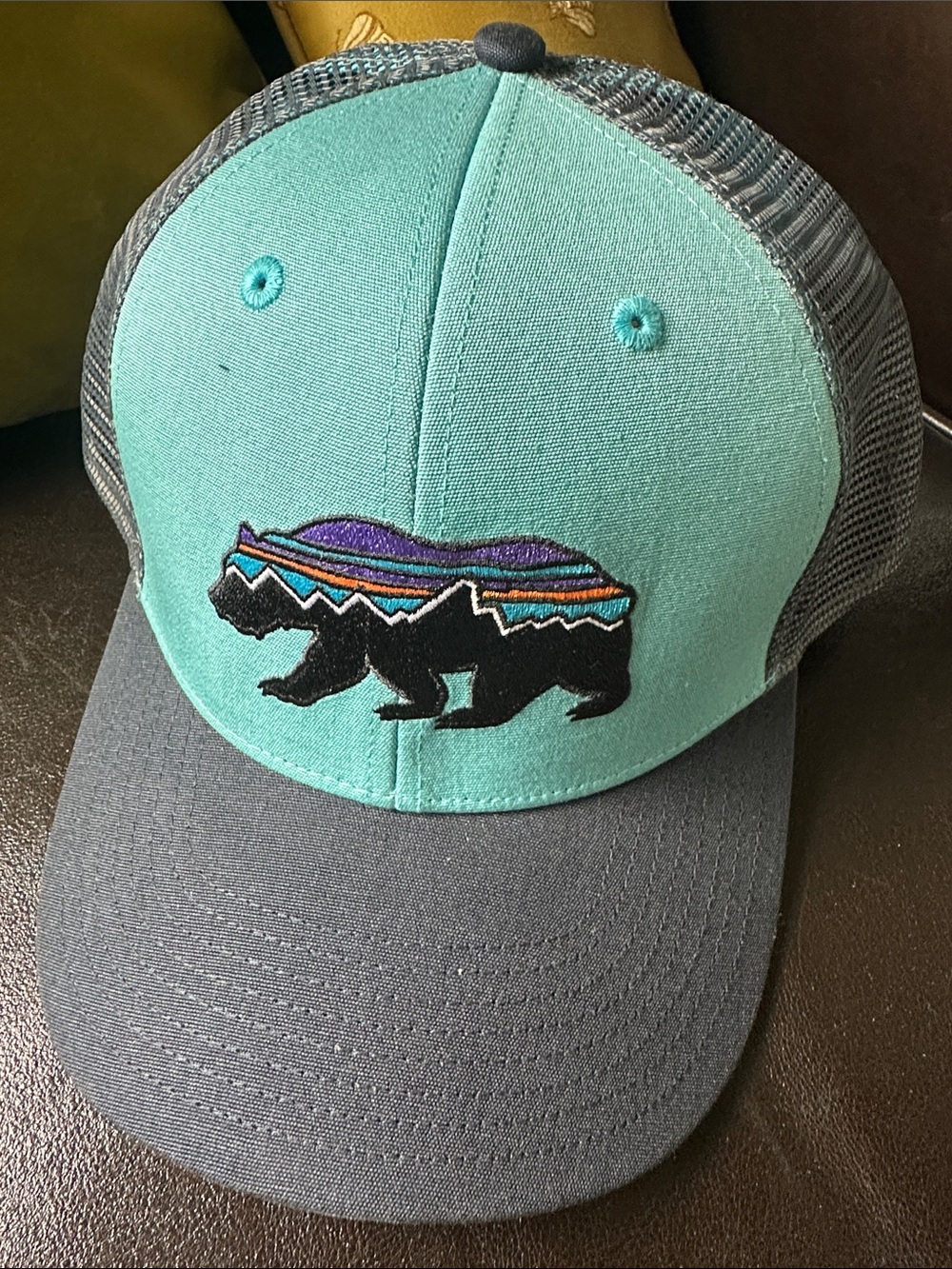 Patagonia Fitz Roy Bear Trucker Hat